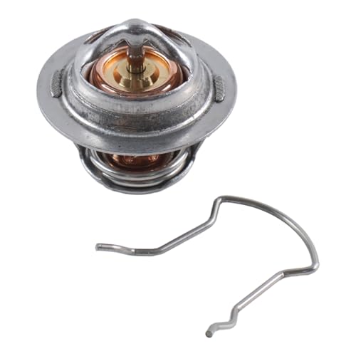 HOLDWELL Thermoregler mit Clip 38000-0007S kompatibel mit Pentair Sta-Rite Max-E-Therm Mastertemp Pool- und Spa-Heizungen von Holdwell
