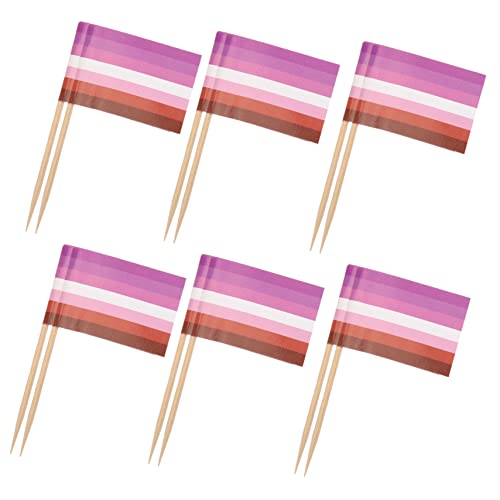 Holibanna 100Stücke Regenbogenflagge Zahnstocher Party Dessert Picks für Lgbtq Feiern Cupcake Topper und Obst Spieße Dekoration für Hochzeiten und Themenpartys von Holibanna