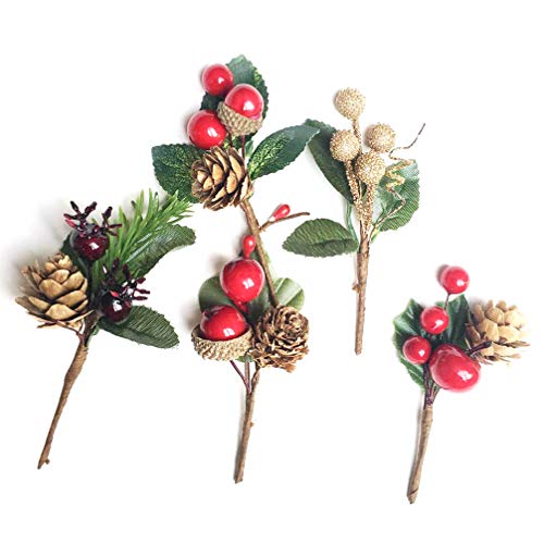 Holibanna 10pcs Weihnachten getrocknete Blume Mini Tannenzapfen nimmt Beerenstämme Zweig DIY Grußkarte Zubehör von Holibanna
