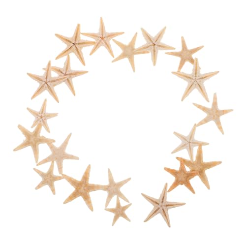 Holibanna 20stücke Mini Seesterne Für DIY-projekte Strand-Thema Deko Für Aromatherapie-Kerzen Und Epoxidharz-Handwerk Holibanna 20stücke Mini Seesterne Für DIY-projekte Strand-Thema Deko Für Aromatherapie-Kerzen Und Epoxidharz-Handwerk von Holibanna