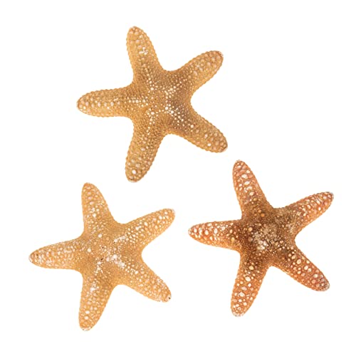 Holibanna 3 Stück Natürliche Seestern Dekorationen für Wand Mediterrane Wanddekorationen DIY Bastelmaterial für Aquarien für Kreative Wohnkultur und Holibanna 3 Stück Natürliche Seestern Dekorationen für Wand Mediterrane Wanddekorationen DIY Bastelmaterial für Aquarien für Kreative Wohnkultur und von Holibanna