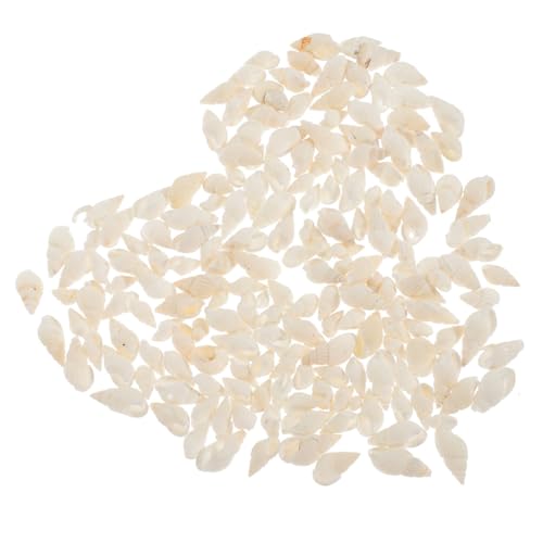 Holibanna 400 Stück Teiliges Natürliche Muschel Dekoration Kleine Schneckenhäuser Conch Adorn Glatte Kanten für Aquarium Terrarium Fischbecken Handwerksprojekte Holibanna 400 Stück Teiliges Natürliche Muschel Dekoration Kleine Schneckenhäuser Conch Adorn Glatte Kanten für Aquarium Terrarium Fischbecken Handwerksprojekte von Holibanna