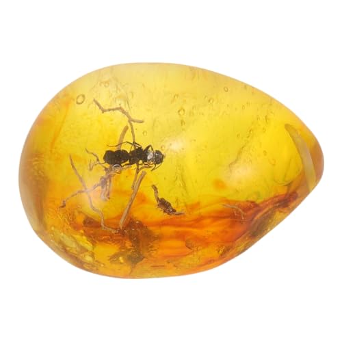 Holibanna Insekten-Bernstein-probenanhänger Aus Harzbernstein Für DIY-Insekten-Bernstein-Handwerk Und Dekoratives Harzhandwerk Für Insektenliebhaber Holibanna Insekten-Bernstein-probenanhänger Aus Harzbernstein Für DIY-Insekten-Bernstein-Handwerk Und Dekoratives Harzhandwerk Für Insektenliebhaber von Holibanna