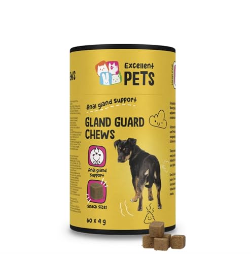 Excellent Pets Probiotika – Weiche Hundeleckerlis 60 Stück – Unterstützt die Verdauung und das Immunsystem – Präbiotika – Nahrungsergänzungsmittel für Hunde Excellent Pets Probiotika – Weiche Hundeleckerlis 60 Stück – Unterstützt die Verdauung und das Immunsystem – Präbiotika – Nahrungsergänzungsmittel für Hunde von Holland Animal Care