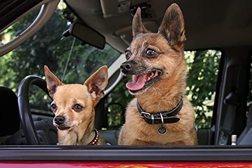 Spotted! Pro Smart Pet Tag - Ø 2,4 cm - Tierkennzeichnung - QR-Code - NFC-Chip - Weltweite Reichweite - Für Hunde und Katzen - Small - Silber von Holland Animal Care