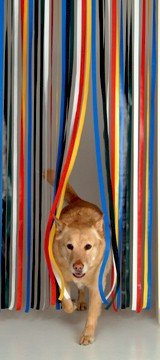 Lamellenvorhang, Insektenrollo, Streifenvorhang, mehrfarbig, 80 cm breit x 200 cm lang von Holland Plastics Original Brand