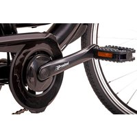 E-Citybike Damen 28" Hollandia E-Active Schwarz 250 Watt Li-Ion 36V/13 Ah 6 Gänge von Hollandia