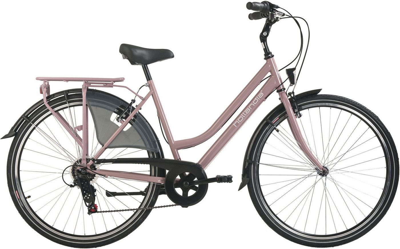 Hollandia Hollandrad City Next, 6 Gang Shimano Tourney Schaltwerk, Kettenschaltung von Hollandia