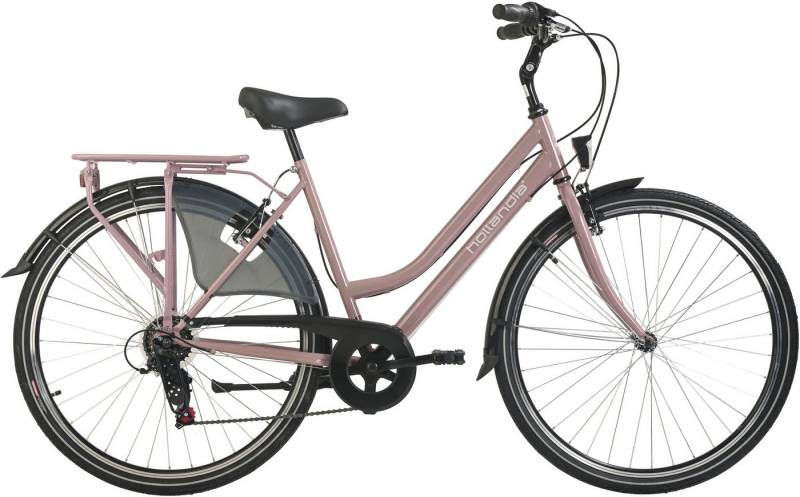 Hollandia Hollandrad City Next, 6 Gang Shimano Tourney Schaltwerk, Kettenschaltung von Hollandia