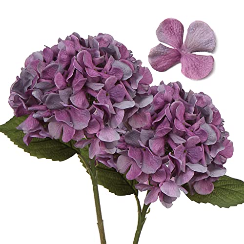 2 STK Hortensien Kunstblumen Violett, Ø 19cm Künstliche Blumen Wie Echt für Brauthochzeitssträuße, Haus, Büro, Hotel, Partydekoration, Mittelstücke, Blumenarrangements von Hollyone