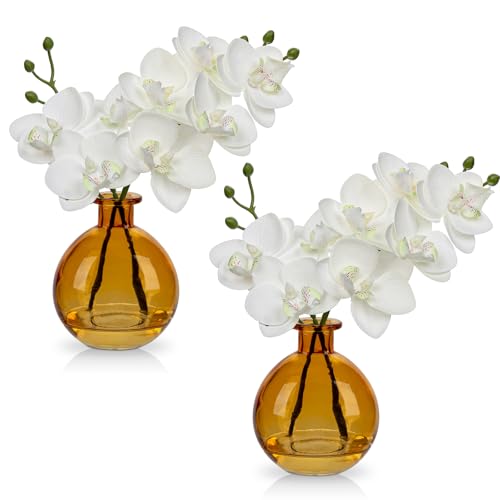 2 pcs Künstliche Orchideen Weiß mit Amber Glasvase, Kunstpflanze Decor Orchideen Kunstblumen im vase mit Real Touch Blüten, Gefälschte Orchideen künstliche Bonsai für Hotel Wohnzimmer Büro Küche von Hollyone