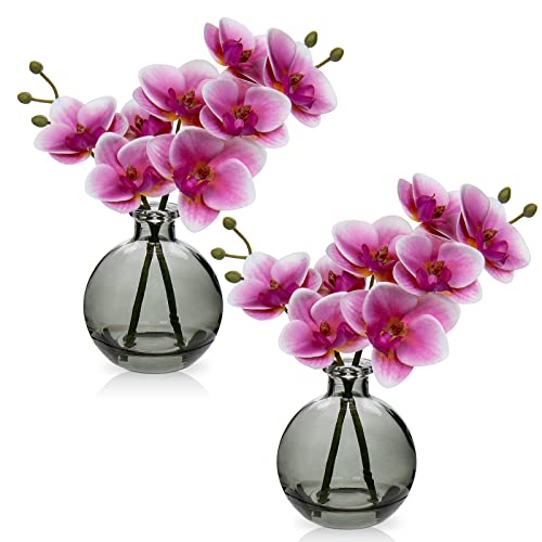 2 pcs Künstliche Orchideen rosa mit Schwarz Glasvase, Kunstpflanze Decor Orchideen Kunstblumen im vase mit Real Touch Blüten, Gefälschte Orchideen künstliche Bonsai für Hotel Wohnzimmer Büro Küche von Hollyone