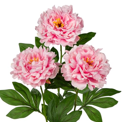 77cm künstliche Pfingstrose Blumen, 3 Stück Fake Pfingstrose Blumen Rosa, Faux Pfingstrose Dekoration für Haus, Büro, Hochzeit, Party Dekoration, Blumenarrangement, Tischaufsteller von Hollyone