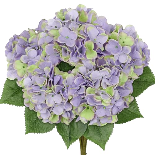 Groß Hortensien Kunstblumen Lila Grün, Kunstblume Wie Echt Hortensien Blumenstrauß, Künstliche Blumen Seide Hydrangea Blumenarrangements, Real-Touch Faux Hortensie für Hochzeit Büro Haus Deko Küche Groß Hortensien Kunstblumen Lila Grün, Kunstblume Wie Echt Hortensien Blumenstrauß, Künstliche Blumen Seide Hydrangea Blumenarrangements, Real-Touch Faux Hortensie für Hochzeit Büro Haus Deko Küche von Hollyone