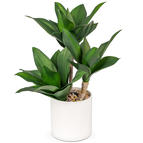 Groß Sukkulenten Künstliche Pflanzen Deko im Topf 37cm, 3 Stück Agave pflanze Faux Sukkulente Kunstpflanze im topf Keramik, Sukkulente Topfpflanzen Deko Aloe Yucca Vera für Haus Büro Küche Desktop#2 von Hollyone