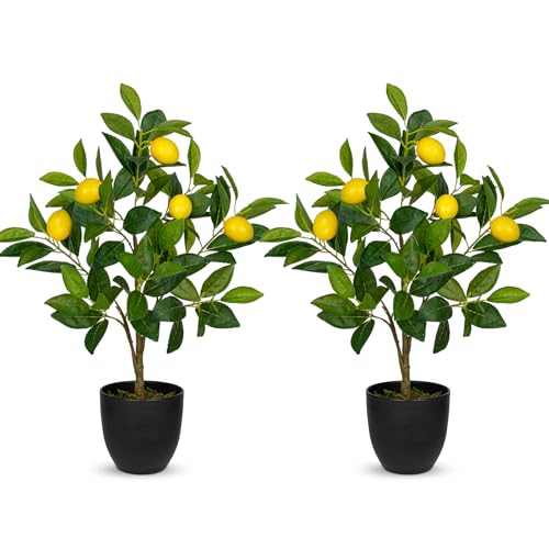 Hollyone 2 Stück Künstliche Pflanze Deko Zitronenbaum, 60cm Plastik Pflanze im Topf Schwarz, Zimmerpflanzen Künstlich mit Zitronenzweig und Zitrone Früchte für Home Decor Wohnzimmer Küche Büro von Hollyone