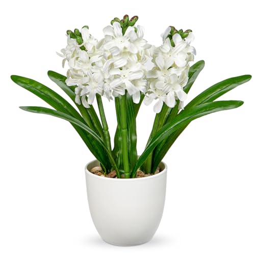 Hollyone 22cm künstliche Hyazinthen Blumen im Topf, künstliche Seidenblumen Weiß, dekorative Topfhyazinthen für Haus, Küche, Bad, Schlafzimmer, Tafelaufsatz, Hochzeitsdekoration von Hollyone