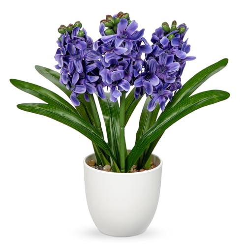 Hollyone 22cm künstliche Hyazinthen Blumen im Topf, künstliche Seidenblumen violett blau, dekorative Topfhyazinthen für Haus, Küche, Bad, Schlafzimmer, Tafelaufsatz, Hochzeitsdekoration von Hollyone