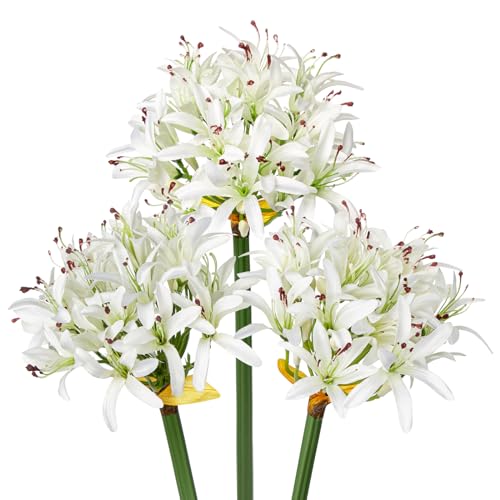 Hollyone 3PCS künstliche Agapanthus Blumen für Dekoration, 30'' Long Stem Real Touch Fake afrikanischen Lilie Blumen weiß, Faux Seide Lilie Blume für Frühling Home Office Hochzeit Tisch Centerpiece von Hollyone