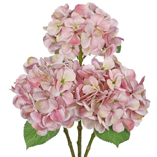 Hollyone 3er Set Hortensien Kunstblumen Rosa, Ø 15cm Hortensienblüten Künstlich Seidenblumen Wie Echt Hortensien Deko Blumen für Hochzeit, Haus, Büro, Mittelstücke, Blumenarrangements von Hollyone