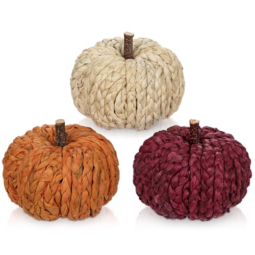 Hollyone 3er-Set Künstlicher Kürbis Herbstdeko Kleine Kürbisse Deko Orange Rot Beige Gewebte Kürbisse Mini Kunstkürbis Set für Thanksgiving Herbst Ernte Halloween Tischdekoration von Hollyone