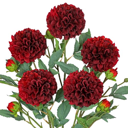 Hollyone 5 Stück Künstliche Dahlien Rot Kunstblumen Zweige mit Knospen, Dahlie Blumenarrangement Langen Stiel Gefälschte Blume Seidenblume für Vase Tischdeko Hochzeit Heimdekoration Hollyone 5 Stück Künstliche Dahlien Rot Kunstblumen Zweige mit Knospen, Dahlie Blumenarrangement Langen Stiel Gefälschte Blume Seidenblume für Vase Tischdeko Hochzeit Heimdekoration von Hollyone