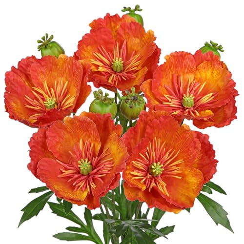 Hollyone 5er-Set Kunstblume Mohn Orange Künstliche Mohnblumen Wie Echt 82cm Länge Seide Dekoblumen Kunstzweige für Blumengesteck Hochzeits Vase Tischdekoration Hollyone 5er-Set Kunstblume Mohn Orange Künstliche Mohnblumen Wie Echt 82cm Länge Seide Dekoblumen Kunstzweige für Blumengesteck Hochzeits Vase Tischdekoration von Hollyone