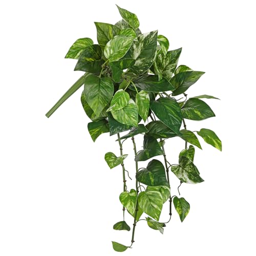 Hollyone 64cm Künstliche Pothos Hängepflanzen Gefälschte Schleppende Busch Pflanze Faux Efeu Künstliche Pothos Blätter Bouquet Grün für Wand Balkon Terrasse Fensterbank Regal Haus Dekoration von Hollyone