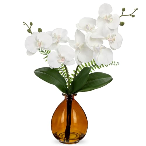 Hollyone Künstliche Orchideen Weiß mit Amber Glasvase, Kunstblumen im Vase mit Real Touch Blüten, Gefälschte Orchideen Künstliche Phalaenopsis Blumen für Wohnzimmer Büro Küche Tisch von Hollyone