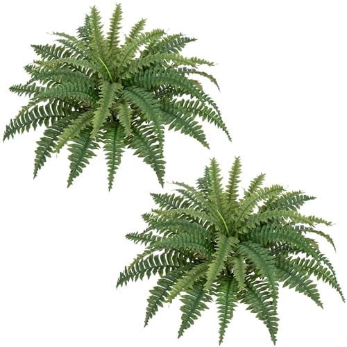 Hollyone Künstliche Pflanzen Farne für Draußen & Drinnen 60cm Spread, 2 Stück große gefälschte Boston Farn Greenery Faux Farn Pflanzen für Veranda Haus Fensterbank Pflanzer Garten Topf hängende von Hollyone