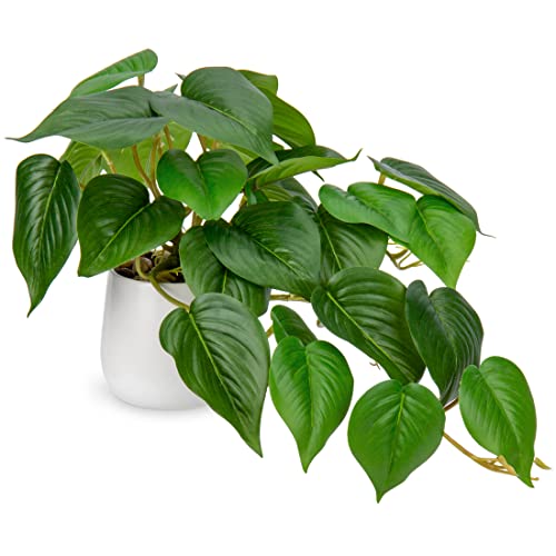 Hollyone Künstliche Pflanzen im Keramiktopf, Jade Pothos Deko Pflanzen Künstliche im Topf, Kunstpflanzen Wie Echt, Künstlich Zimmerpflanzen mit Töpfen für Tischdeko Büro Schreibtisch Deco Wohnzimmer von Hollyone