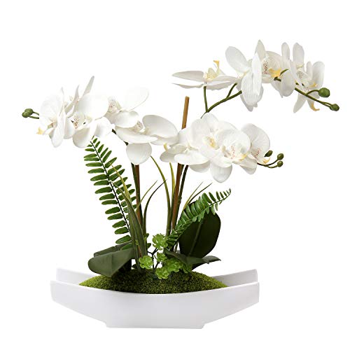 Hollyone Orchideen Künstlich, Künstliche Orchideen im Topf, Orchideen Künstlich Wie Echt, Künstliche Phalaenopsis Bonsai im Keramiktopf, für Wohnzimmer Badezimmer Deko, Weiß von Hollyone