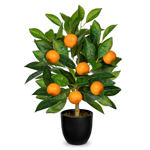 Künstliche Pflanze deko Orangenbaum, 40cm Plastik Pflanze im Topf schwarz, kunstpflanzen wie echt, Zimmerpflanzen Künstlich mit Orangenzweig und Orangen Früchte für Home Decor Wohnzimmer Küche Büro von Hollyone