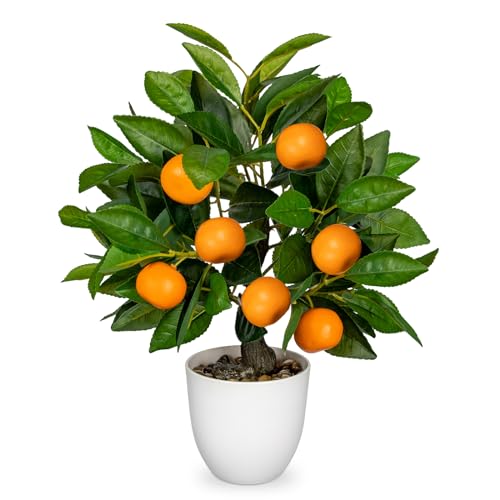 Künstliche Pflanze deko Orangenbaum, 40cm Plastik Pflanze im Topf weiß, kunstpflanzen wie echt, Zimmerpflanzen Künstlich mit Orangenzweig und Orangen Früchte für Home Decor Wohnzimmer Küche Büro von Hollyone