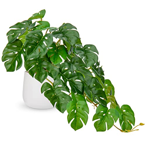 Künstliche Pflanzen im Keramiktopf, Tropical Monstera Deko Pflanzen Künstliche im Topf, Kunstpflanzen Wie Echt, Künstlich Zimmerpflanzen mit Töpfen für Tischdeko Büro Schreibtisch Deco Wohnzimmer von Hollyone