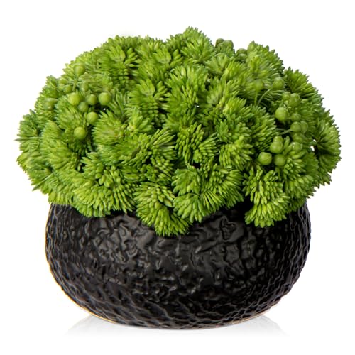 Plastik Pflanzen im Topf, Kleine künstliche Sukkulenten in Keramiktopf, gefälschte Sukkulenten Pflanzen Arrangement in Black Planter Bowl, Faux grüne Sukkulenten für Home Office Wohnzimmer Regal16cm von Hollyone