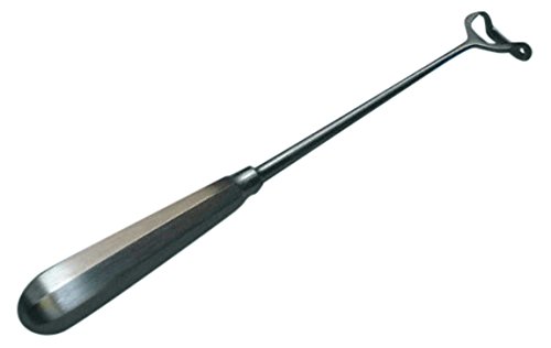 Holtex ic35524 Messer mit végétations Beckmann, 55,9 cm Länge x 24 mm Durchmesser von Holtex