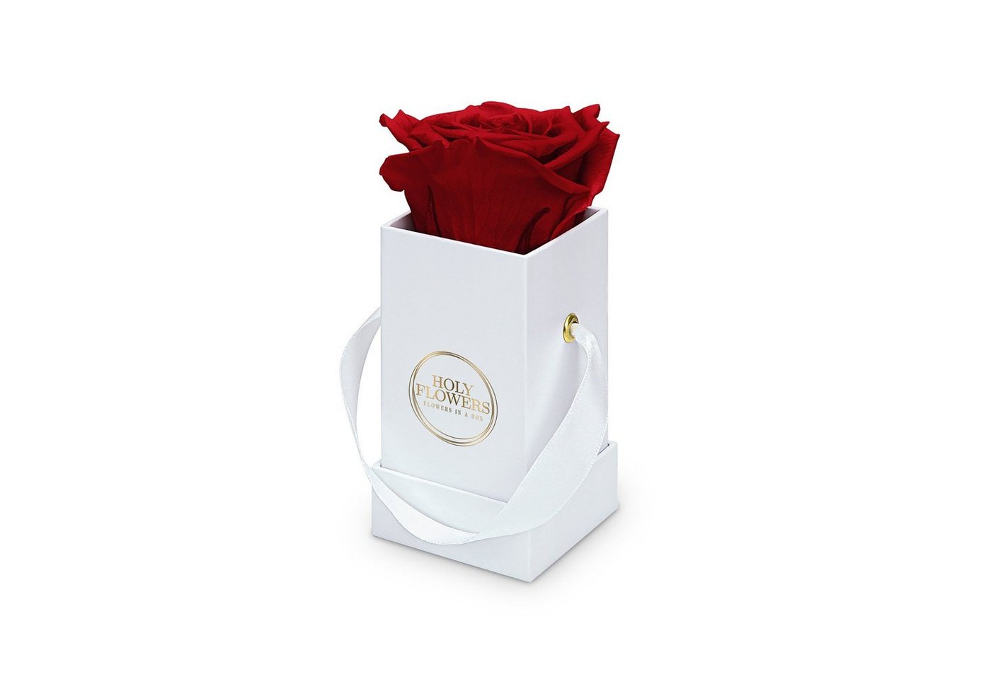 Kunstblume Eckige Rosenbox in weiß mit 1er Infinity Rose I 1- 3 Jahre haltbar Infinity Rose, Holy Flowers, Höhe 9 cm von Holy Flowers