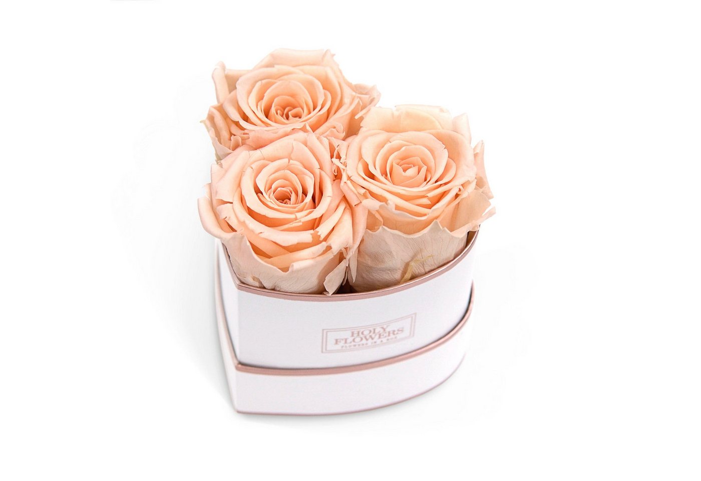 Kunstblume Rosenbox Herz Rosé, 3 konservierte echte Rosen, 1- 3 Jahre haltbar Infinity Rose, Holy Flowers, Höhe 10 cm von Holy Flowers