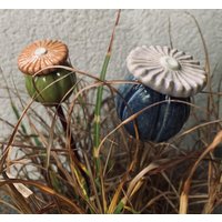 Klatschmohn | Frostfest Klatschmohn | Frostfest von HolzToenchen