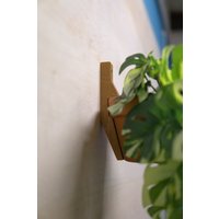 Wandhalterung Für Pflanzen, Blumentopfstütze Terracotta-Töpfe, Vertikaler Garten, Blumentopfklammer Aus Vollholz von HolzbudeLeipzigStore