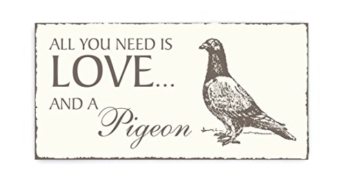 SCHILD Dekoschild « All you need is LOVE and a PIGEON » Taube Holzschild Türschild Dekoration Vogel Ornithologe Zoo Tierpark Taubenzüchter Ruckruck Taubenmann von Holzschild