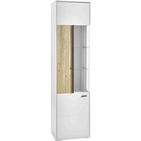 Hom´in Vitrine L GLASGOW, Holznachbildung von Hom´in