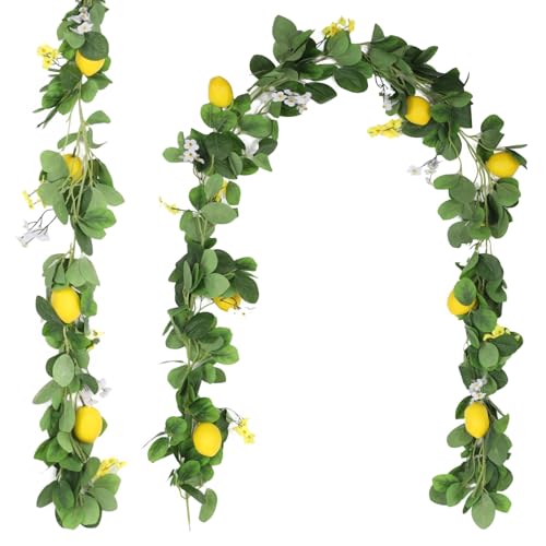 Künstliche Zitronen-Girlanden, 2 m, künstliche grüne Ranken, künstliche Obstreben mit Zitronen, Blumen und Blättern, Frühlingsfruchtgirlanden für drinnen und draußen, Hochzeit, Zuhause, Tür Künstliche Zitronen-Girlanden, 2 m, künstliche grüne Ranken, künstliche Obstreben mit Zitronen, Blumen und Blättern, Frühlingsfruchtgirlanden für drinnen und draußen, Hochzeit, Zuhause, Tür von Homaisson