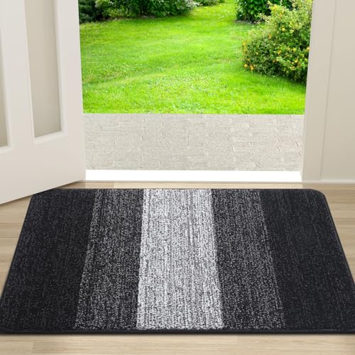 Homaxy Schmutzfangmatte Innen, rutschfeste Fußmatte, Maschinenwaschbare Robust Fussmatte Saugstarke Türmatte für Hund, Eingang, Haustür (43 x 76 cm, Schwarz) von Homaxy