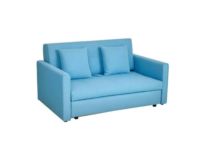 HOMCOM Schlafsofa Schlafcouch mit Bettfunktion, mit Stauraum, 2-Sitzer Sofa 1 Teile, für Wohnzimmer, Polyester, Holz, blau grau HOMCOM Schlafsofa Schlafcouch mit Bettfunktion, mit Stauraum, 2-Sitzer Sofa 1 Teile, für Wohnzimmer, Polyester, Holz, blau grau von Homcom
