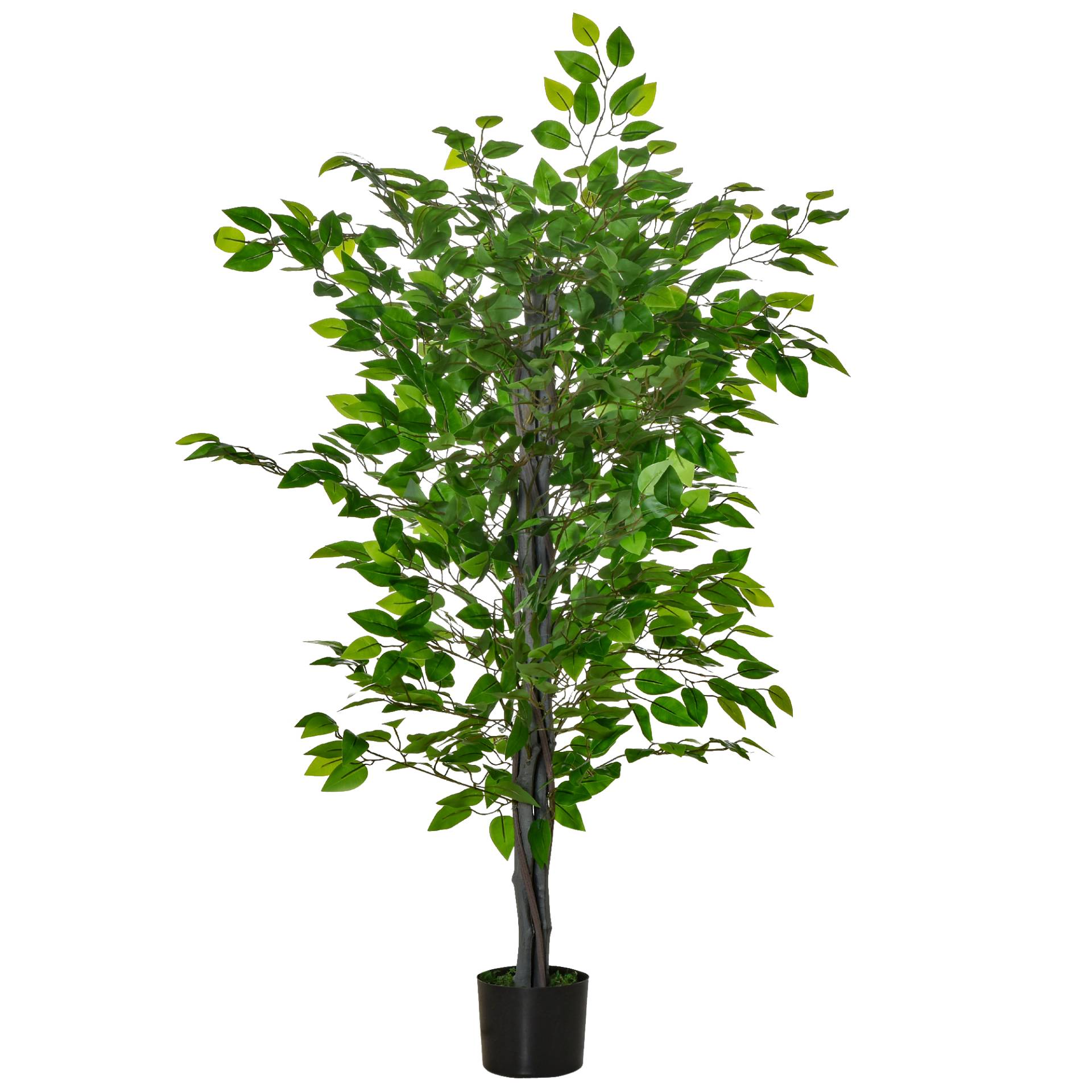 Pianta di ficus artificiale in vaso realistica verde Pianta di ficus artificiale in vaso realistica verde von Homcom