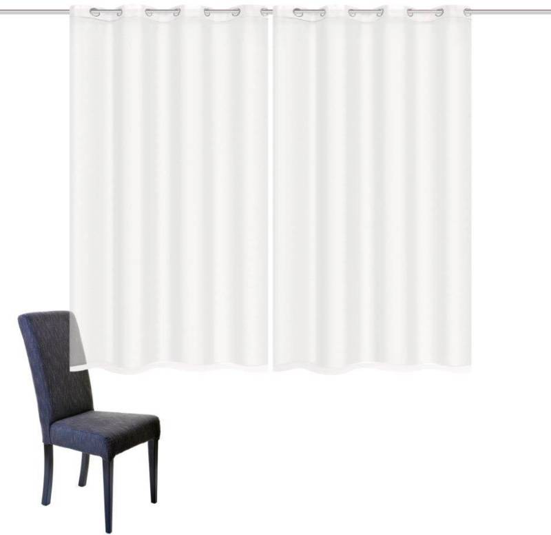 Home Basics Vorhang DOLLY, Ösen (2 St), transparent, Voile, 2er Pack Ösenschal DOLLY von Home Basics