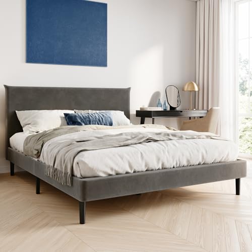 Bett 160x200 und 160x200 cm, Polsterbett mit Lattenrost, Bettgestell, Doppelbett mit weichem Samtbezug und gepolstertem Kopfteil, robustes Gestell, hoher Liegekomfort | Grau | 160x200 cm von Home Collective