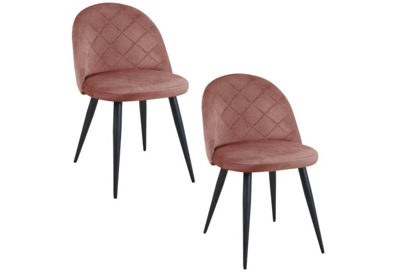 Home Collective Esszimmerstuhl 2er Set Wohnzimmerstuhl Stuhl Samt mit Metallbeinen elegant gesteppt, Polsterstuhl 2x rosa mit schwarzen Beinen von Home Collective